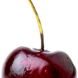 Cherry Cherry
