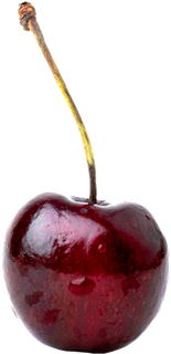 Healthy Organic Foods