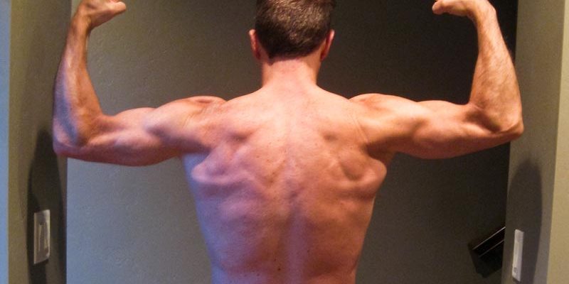 Back Workout - Insanity Asylum