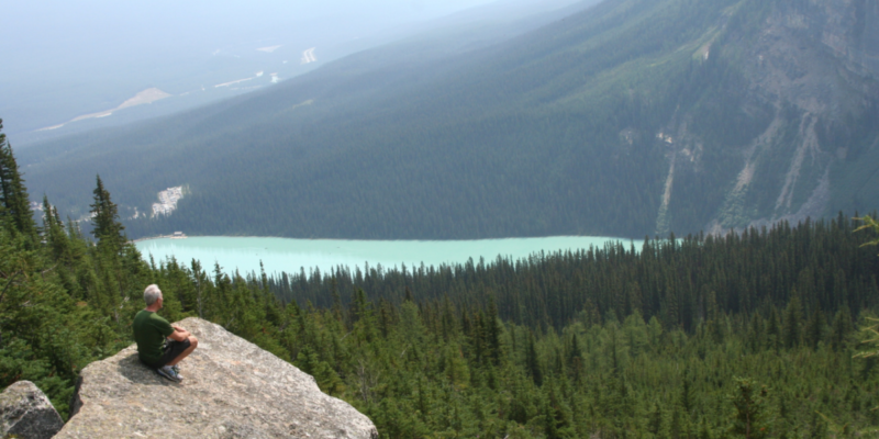 7 Simple Strategies To Brain Health